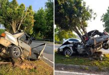 பசுக்களுக்கு வழிவிட முயன்ற, பதின்மவயது வாலிபர் பலி!