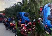 தொழிலாளர்களை ஏற்றி சென்ற வேன் பள்ளத்தில் விழுந்தது; இந்திய மாது பலி- மேலும் 6 பேர் காயம்