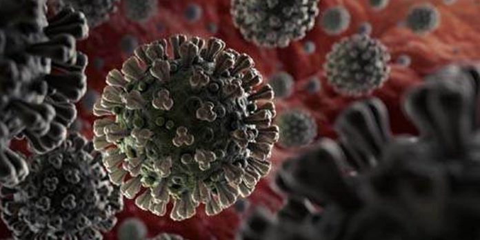 skin virus