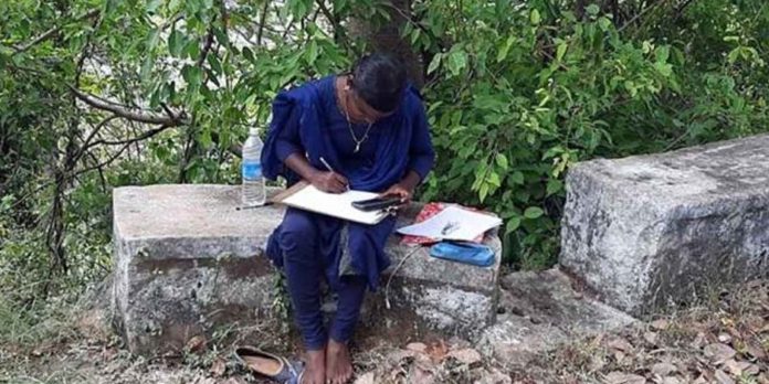 test in jungle