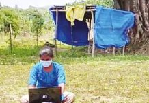 மடிக்கணினியுடன் காட்டில் அமர்ந்து வேலை பார்த்த இளம்பெண்