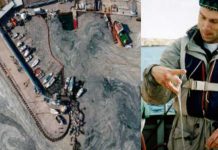 மனிதர்கள் ஏற்படுத்தியிருக்கும் நீர் மாசுப்பாடு; கடலில் வேகமாக பரவி வரும் sea snot (எ) கடல் சளி