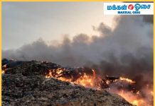 பினாங்கில் புரோங் புரூங் நிலப்பரப்பில் 3.72 ஹெக்டேர் தீயில் அழிந்தது