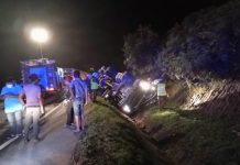 LORI KONTENA MEMBAWA KAYU PALLET TERBABAS, PEMANDU MENINGGAL DUNIA