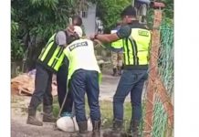 கூலிம் நகராண்மைக்கழக உறுப்பினர்கள் போல் ஆடை அணிந்தவர்களால் நாய் அடித்து கொலையா?