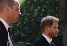இளவரசர்கள் வில்லியம்-ஹாரியை சமாதானப்படுத்தும் முயற்சி