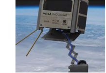 மரத்தில் ஒரு செயற்கைக்கோள்