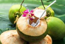 AIR KELAPA MUDA UNTUK SUHU BADAN YANG STABIL
