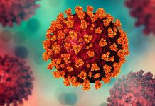 கொரோனாவின் தோற்றுவாய் குறித்து மீண்டும் ஆய்வா?