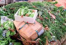 Sayuran terpaksa dibiarkan rosak, penanam tidak dapat keluar kerana PKPD