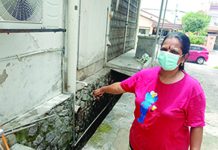 HAIWAN PEROSAK MENYEBABKAN BAU MENYENGAT DI KAJANG
