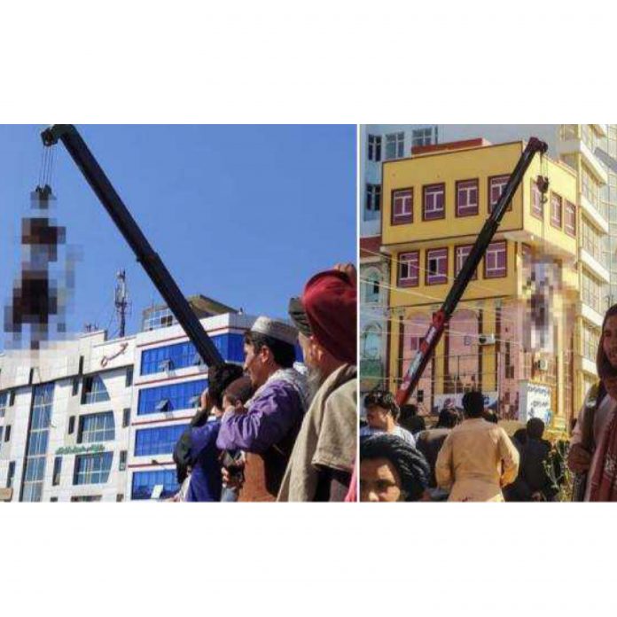 5CECE4E2-ADAF-4098-B633-0EF12C113D59