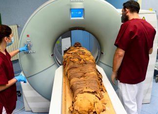 இறந்த தாயின் உடலை ஓராண்டுக்கு மேலாக பாதாள அறையில் பதுக்கி வைத்த மகன்; பின்னணியில் பகீர் தகவல்