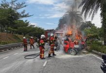 விநியோக நிறுவன லோரி கட்டுப்பாட்டை இழந்து, சாலையருகில் உள்ள மரத்தில் மோதி தீப்பிடித்தது; லோரி ஓட்டுநர் மரணம்