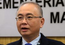 வெளிநாடுகளில் சிக்கித் தவிக்கும் குழந்தைகளுக்கு அரசு உதவ வேண்டும் என்கிறார் டாக்டர் வீ கா சியோங்