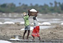 உப்பு உடம்புக்கு நல்லதா? இல்லை என்பதே பதில்