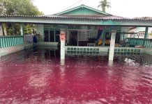 தம்போயில் சிவப்பு நிற வெள்ளம்; ஜவுளி தொழிற்சாலையில் இருந்து ஏற்பட்ட சாயக் கசிவே காரணம் என்கிறது சுற்றுச்சூழல் துறை.