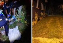 சொந்த மகனால் தாய், தந்தை இருவரும் வெட்டிக் கொலை