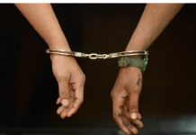 இணையத்தில் போலி வேலை வாய்ப்பு மோசடியில் ஈடுபட்டதாக இருவர் கைது