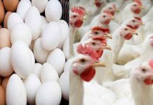 தீபாவளி பண்டிகையை முன்னிட்டு 11 உணவுப் பொருட்களுக்கு விலை கட்டுப்பாடு