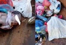 புதிதாக பிறந்த பெண் குழந்தை இறந்த நிலையில் குப்பைத் தொட்டியில் இருந்து மீட்கப்பட்டது