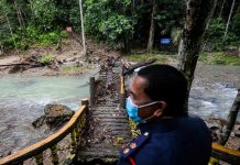 கெடாவிலுள்ள அனைத்து சுற்றுச்சூழல் பூங்காக்களும் தற்காலிகமாக மூடப்படுகின்றன; கெடா வனவியல் திணைக்களம் தகவல்