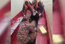 காணாமல் போனதாகக் கூறப்பட்ட பதின்ம வயது சிறுவனை முதலை சாப்பிட்டதாக நம்பப்படுகிறது