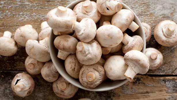 9033F848-6A04-47C3-9E4C-42A35EFC8EDE