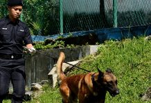 சந்தேகத்திற்குரிய பொதியால் (பொட்டலம்) பீதியடைந்த பங்சார் வட்டார மக்கள்