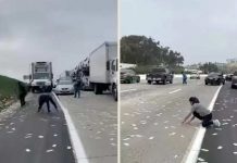 கலிபோர்னியாவின் சாலையில் கட்டுக்கட்டாக கொட்டிக்கிடந்த பணம்!