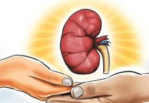 உடல் உறுப்பு தானம் : மனித இனத்திற்கு கிடைத்த வரம்