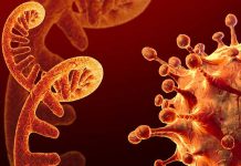 ஒமிக்ரான் வைரஸ்:கொரோனா பாதிக்கப்பட்டு மீண்டவர்களை குறி வைக்கும்