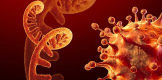 ஒமிக்ரான் வைரஸ்:கொரோனா பாதிக்கப்பட்டு மீண்டவர்களை குறி வைக்கும்