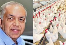 கோழியின் விலை உயர்வை அரசாங்கம் தடுக்க வேண்டும் – மைடின் உரிமையாளர் வேண்டுகோள்