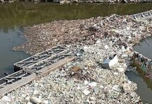 சிலாங்கூரில் ஆற்றில் இருந்து 2,500 கிலோ பிளாஸ்டிக் பாட்டில்கள் சேகரிப்பு
