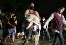 உயிர் என்பது மனிதருக்கும் பிராணிகளுக்கும் சமம் என்கிறார் ஆர்வலர்கள்