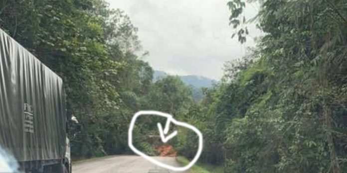 cameron highlands