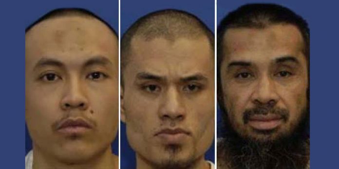 தீவிரவாதம்1