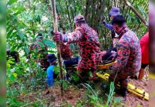 பாராகிளைடிங்கில் ஈடுபட்டவர் கட்டுப்பாட்டை இழந்து, மூங்கில் மரத்தில் சிக்கினார்