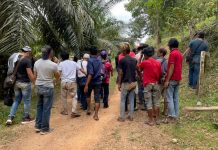 3 போதைப்பொருள் விநியோக மையங்கள் என நம்பப்படும் இடங்களில் போலீஸ் சோதனை; 41 பேர் கைது!