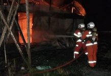 Lebih 10,000 ayam mati dalam kebakaran