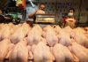 Harga ayam tak patut naik – Rosol