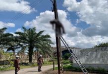 மின்கம்பத்தில் பராமரிப்புப் பணியில் ஈடுபட்டிருந்த ஒருவர் மின்சாரம் தாக்கி உயிரிழந்தார்