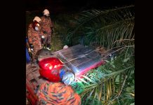 Timbalan Ketua MIC Tapah maut dalam kemalangan