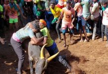 அவனியாபுரம் ஜல்லிக்கட்டுப் போட்டியில் 59 பேர் காயம்: பார்வையாளர் ஒருவர் மாடு முட்டி உயிரிழப்பு
