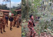 ஆறு நாட்களுக்கு முன்பு வனப்பகுதியில் காணாமல் போன 9 வயது சிறுமியை தேடும் பணி தொடர்கிறது