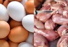 சிலாங்கூரில் ஒரு கிலோ கோழி 8 வெள்ளி என நிர்ணயம்