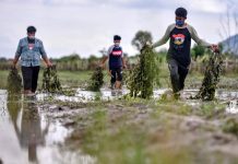 கிளாந்தானில் வெள்ளத்தால் பாதிக்கப்பட்ட தர்பூசணி செய்கை விவசாயிகளுக்கு MAFI உதவி வழங்கவுள்ளது