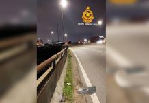 கிள்ளான் ஆற்றில் குதிக்க முயற்சித்த ஆடவர் பாதுகாப்பாக மீட்கப்பட்டார்