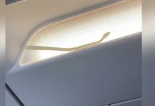 ஏர் ஆசியா விமானத்தில் இருந்த பாம்பால் பயணிகள் அச்சம்